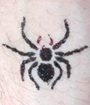 Black Spider Glitter Tattoo
